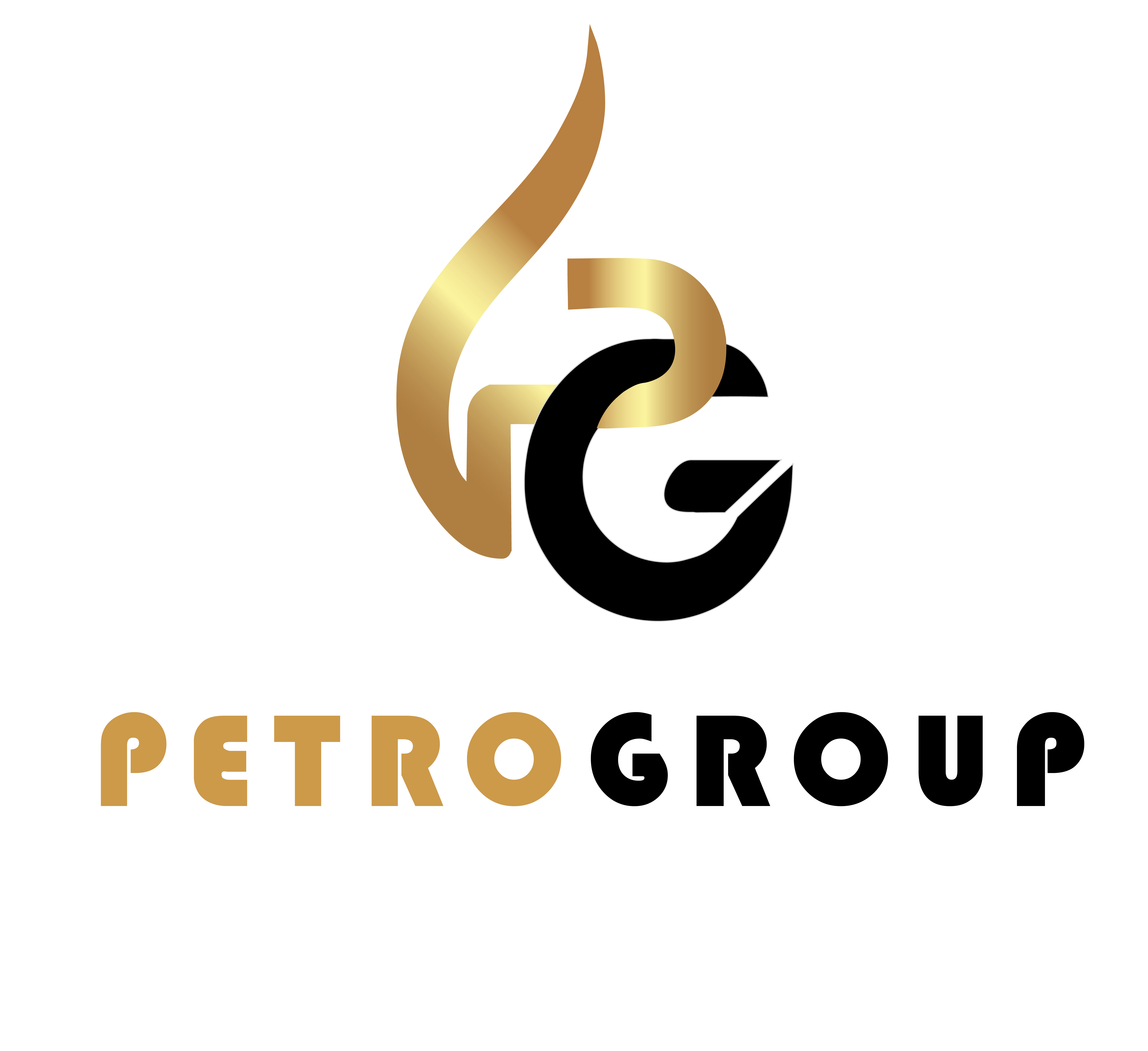 Petrogroup sdn bhd